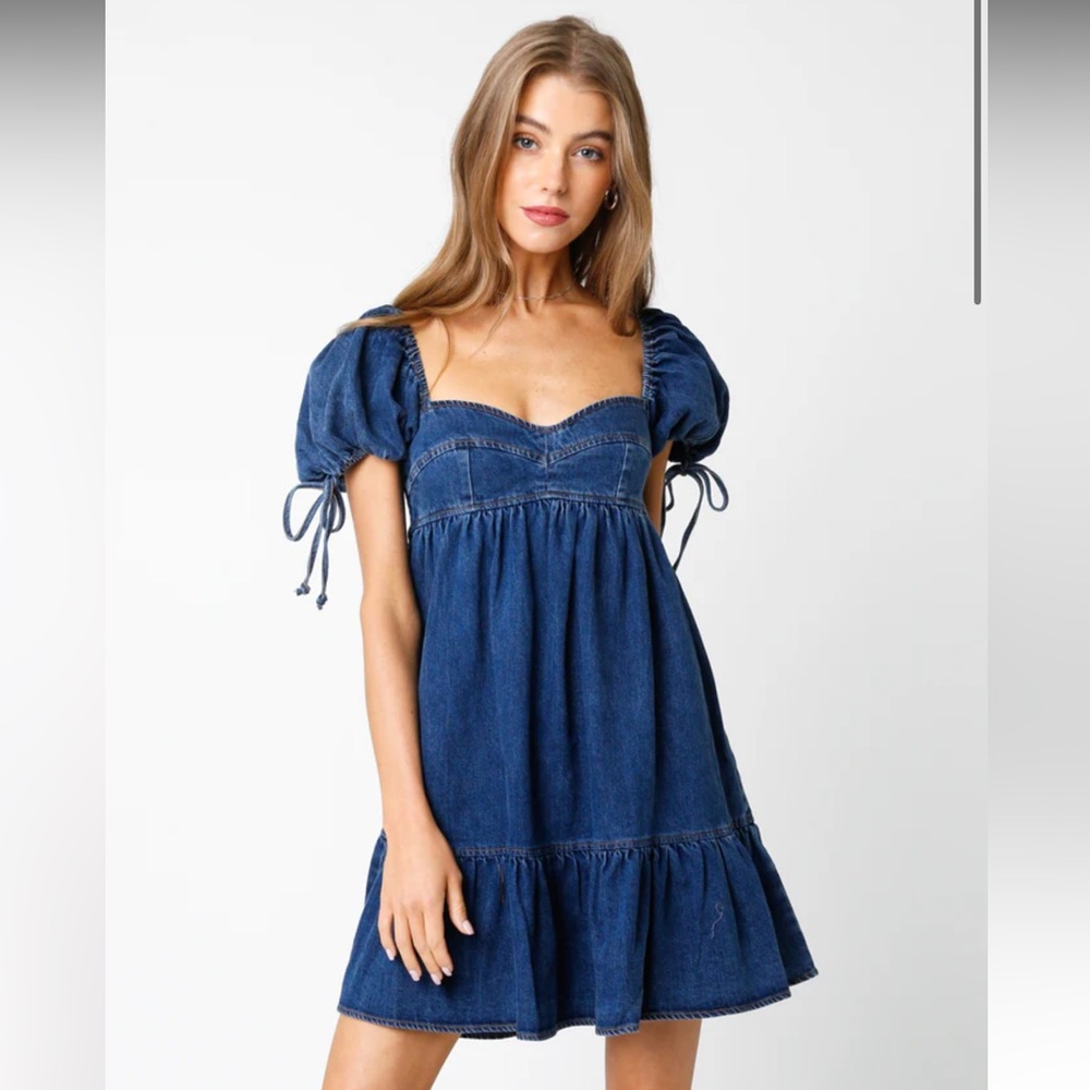 NWT Olivaceous Denim Dress